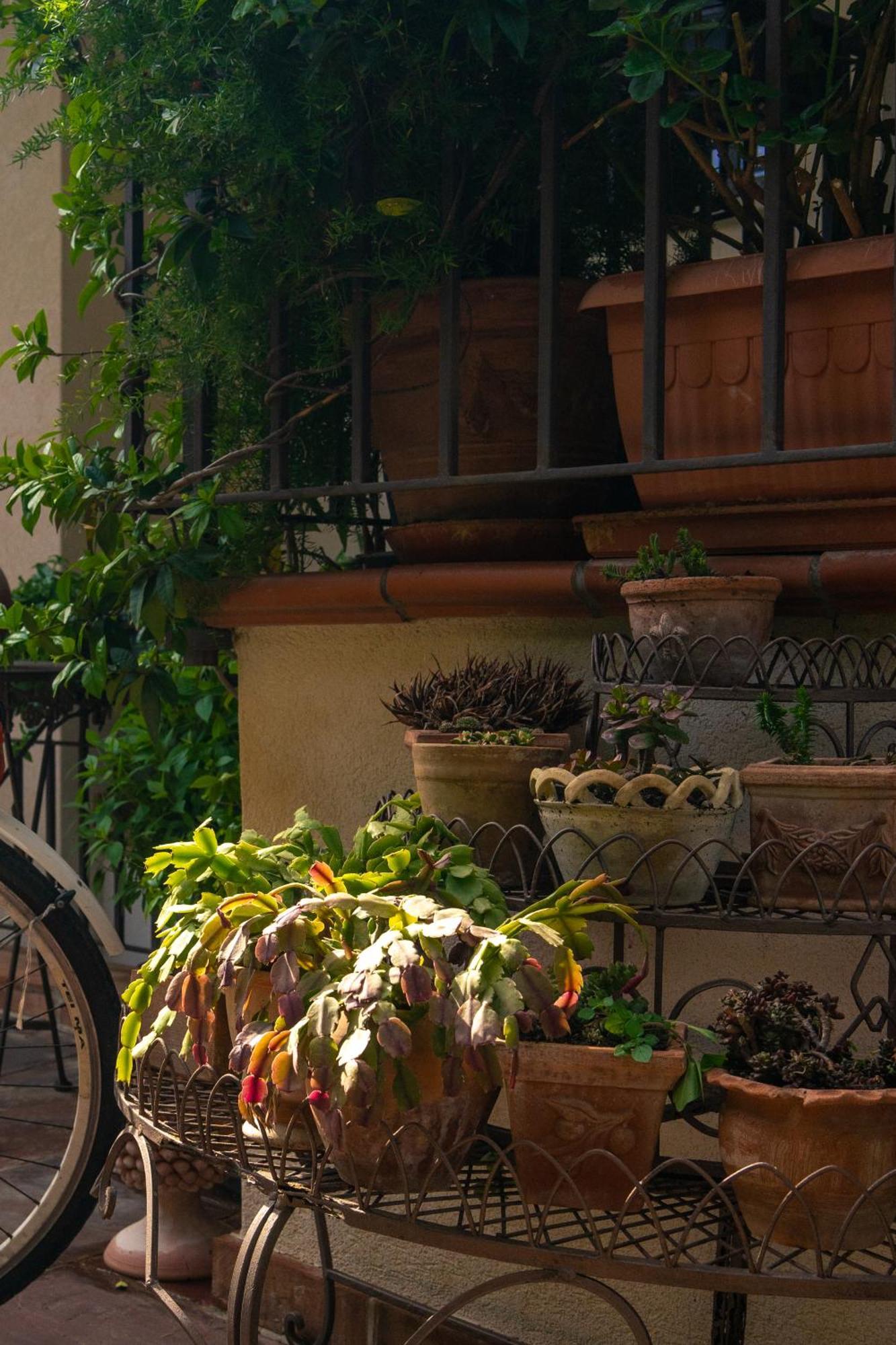 Guest House Antichi Ulivi Mondello Dış mekan fotoğraf